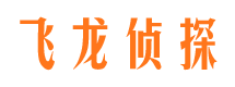 乐安婚外情调查取证